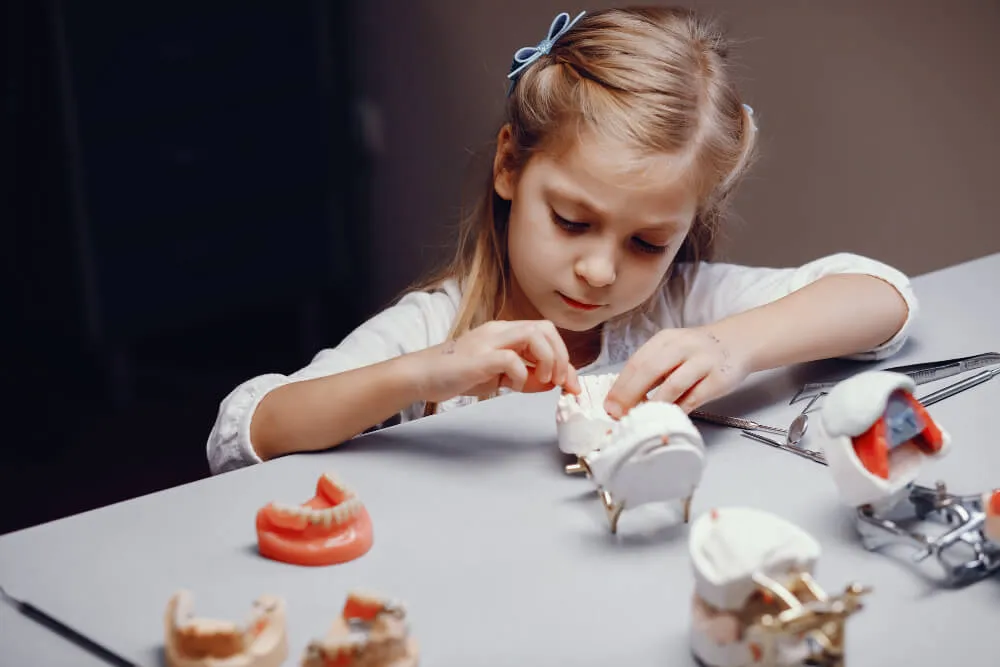 Child playing with artificial jaw in dentist's office